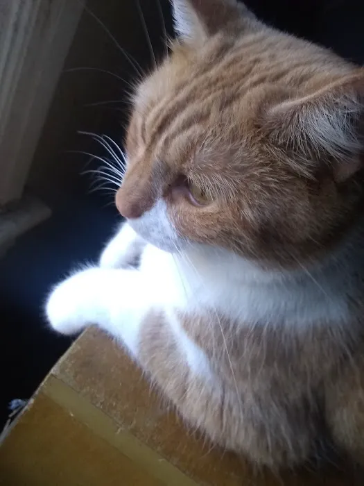 Poteau Valley Veterinary Hospital Picture 1