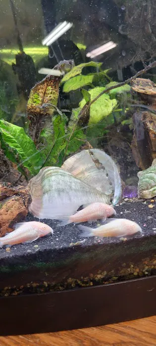 Poteau Valley Veterinary Hospital Picture 8