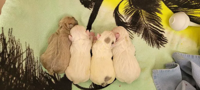 Poteau Valley Veterinary Hospital Picture 7