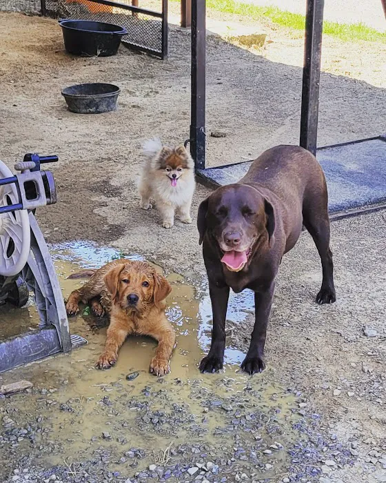 Poteau Valley Veterinary Hospital Picture 6