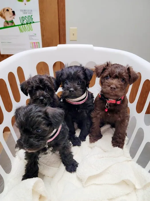 Poteau Valley Veterinary Hospital Picture 9