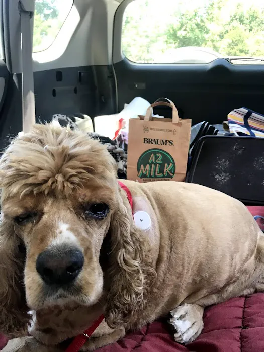 Stokes Randolph DVM Picture 1