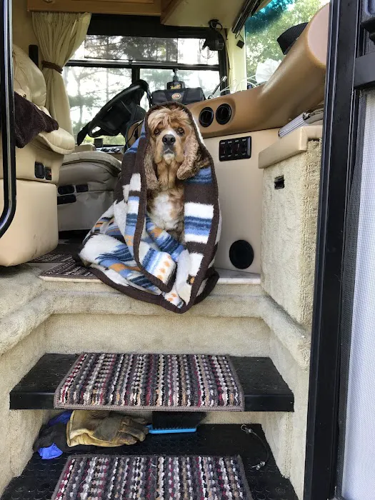 Stokes Randolph DVM Picture 4