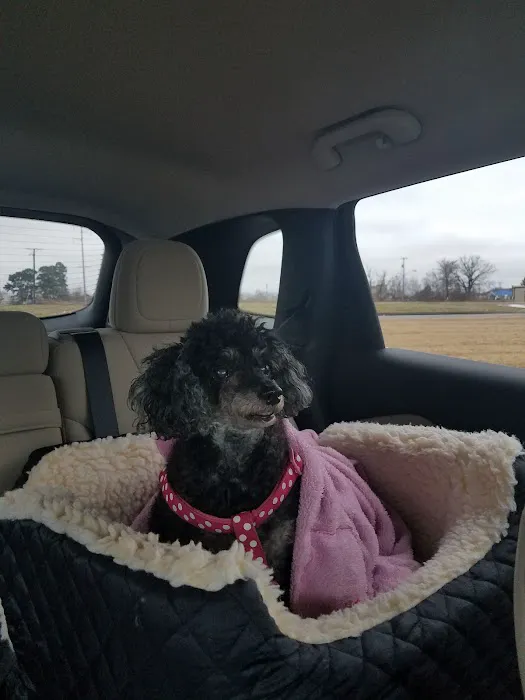 Stokes Randolph DVM Picture 9