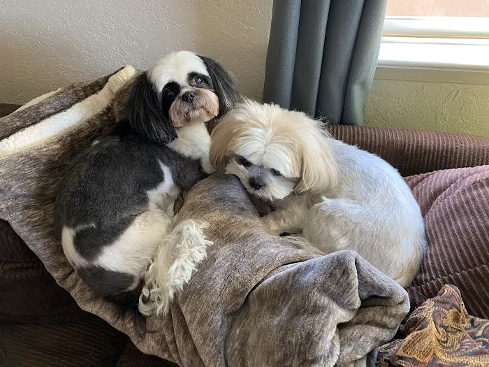 Stokes Randolph DVM Picture 10