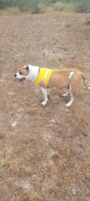 Le Flore County Veterinary Picture 1