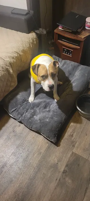 Le Flore County Veterinary Picture 3