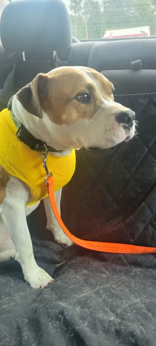 Le Flore County Veterinary Picture 2