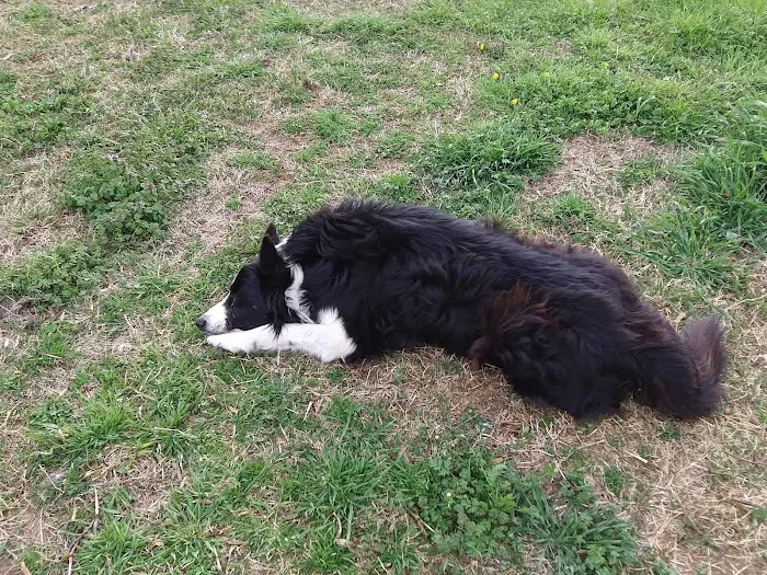 Le Flore County Veterinary Picture 7