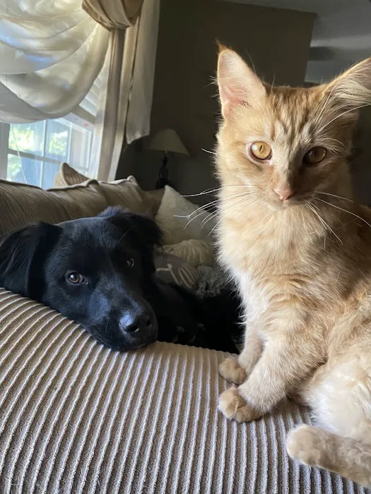 Le Flore County Veterinary Picture 4