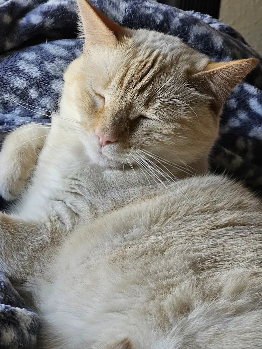 Le Flore County Veterinary Picture 8