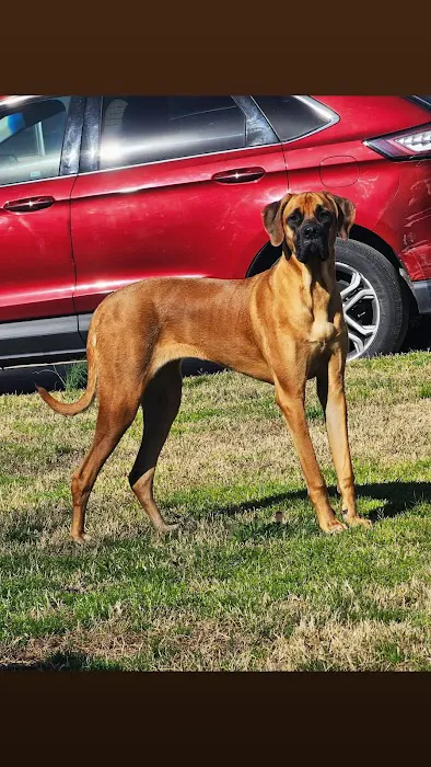 Le Flore County Veterinary Picture 9