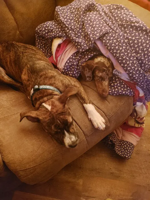 Rye Hill Veterinary Clinic Picture 1