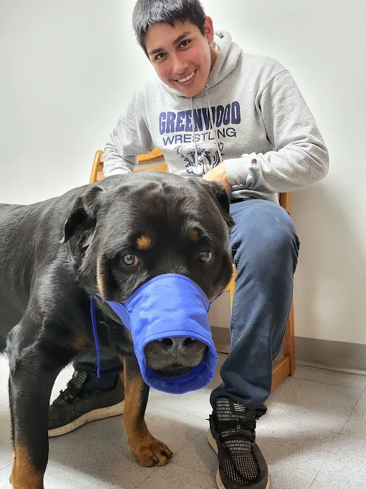 Rye Hill Veterinary Clinic Picture 4