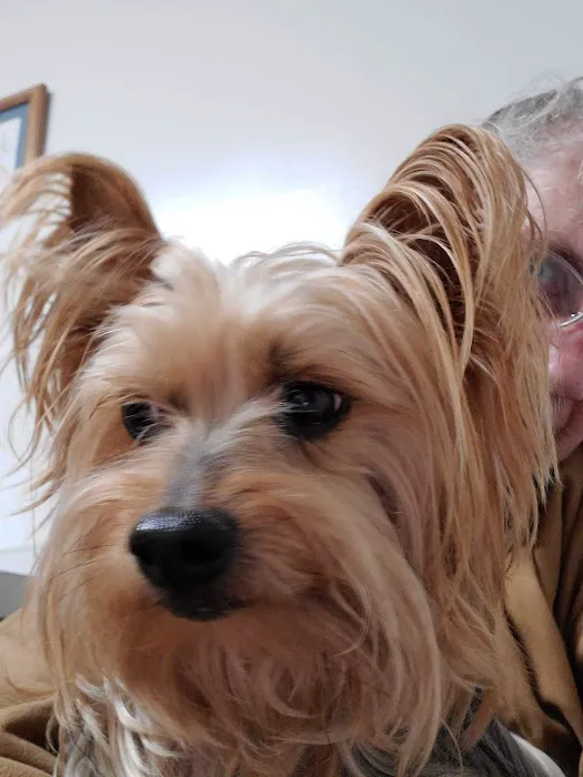 Rye Hill Veterinary Clinic Picture 5