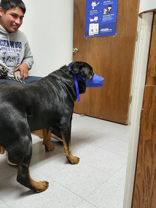 Rye Hill Veterinary Clinic Picture 3