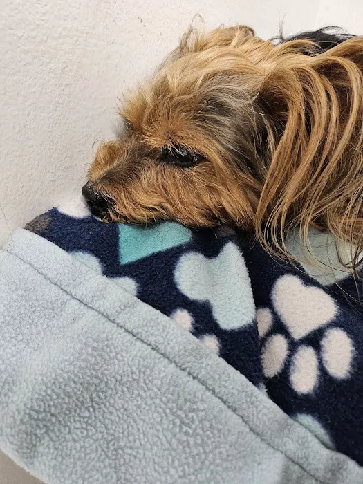 Rye Hill Veterinary Clinic Picture 6