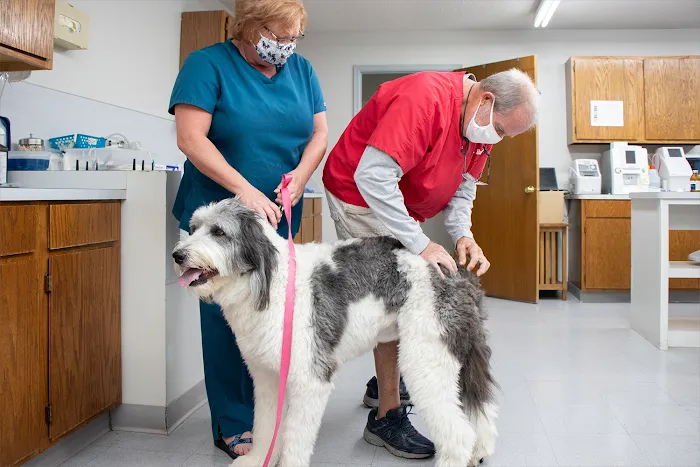 Rye Hill Veterinary Clinic Picture 8