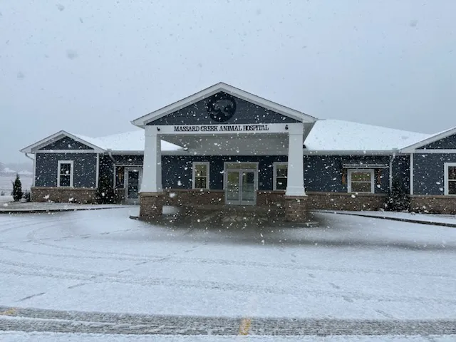 Massard Creek Animal Hospital Picture 6