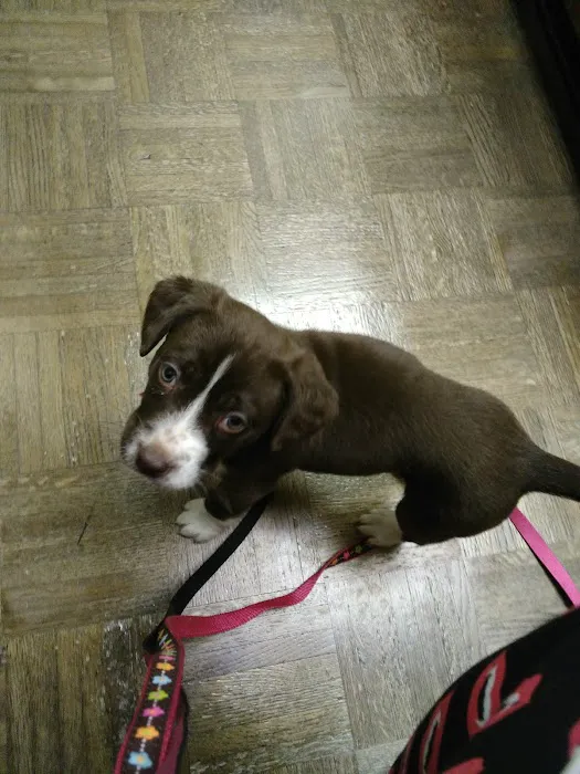 Massard Creek Animal Hospital Picture 5