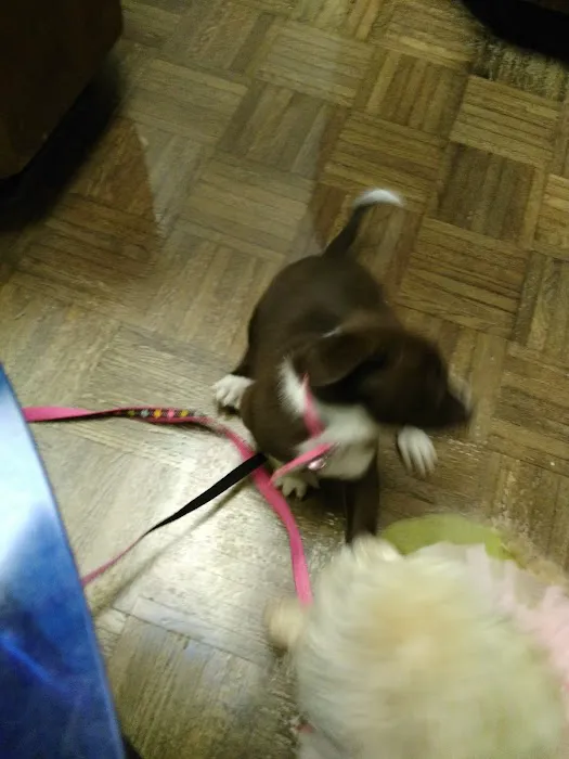 Massard Creek Animal Hospital Picture 7