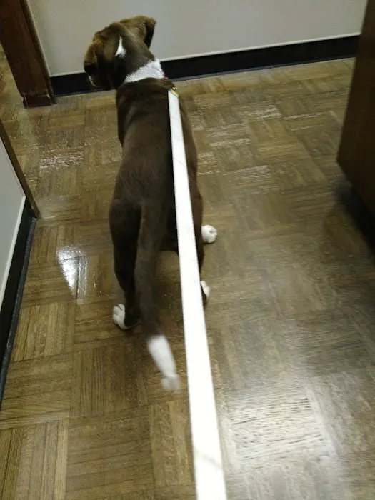 Massard Creek Animal Hospital Picture 10