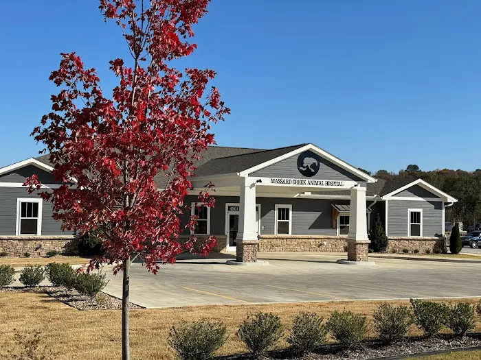Massard Creek Animal Hospital Picture 8