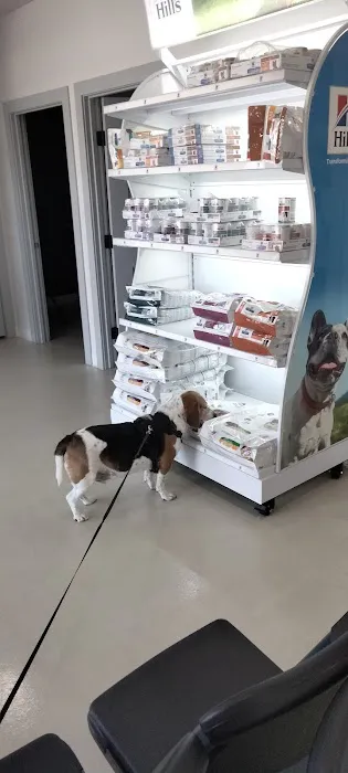 Chaffee Veterinary Clinic Picture 2