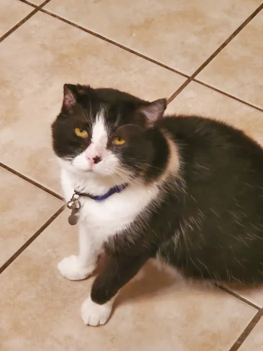 Chaffee Veterinary Clinic Picture 4