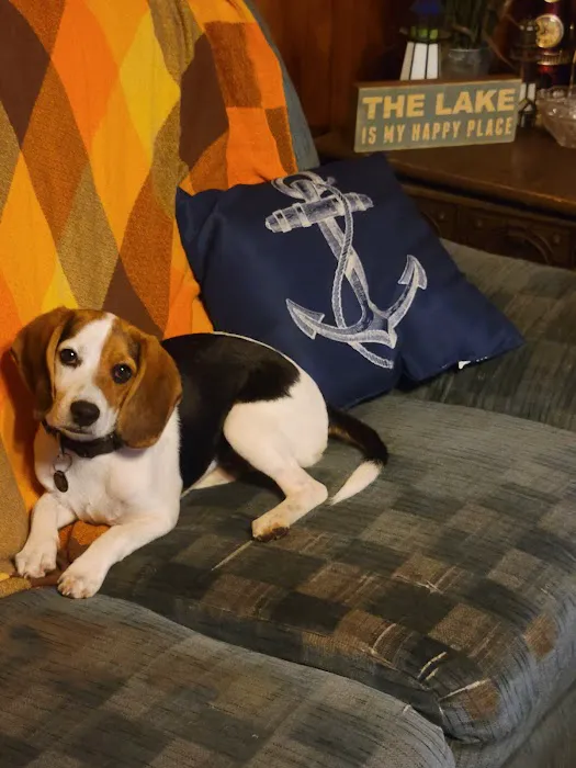 Voss Veterinary Clinic Picture 2