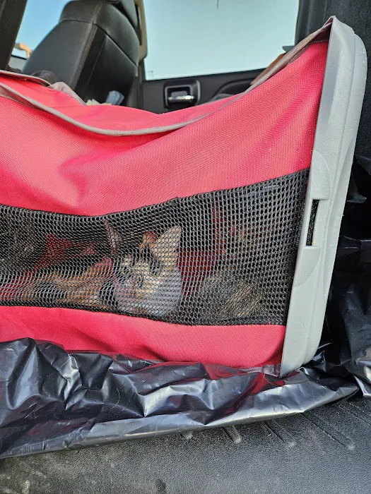 Voss Veterinary Clinic Picture 1