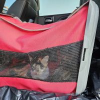 Voss Veterinary Clinic ico