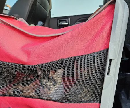 Voss Veterinary Clinic