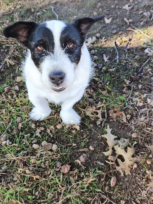 Voss Veterinary Clinic Picture 10