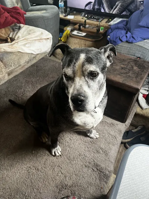 Glover B K DVM Picture 4