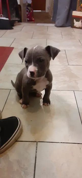 Glover Veterinarian Services Picture 2