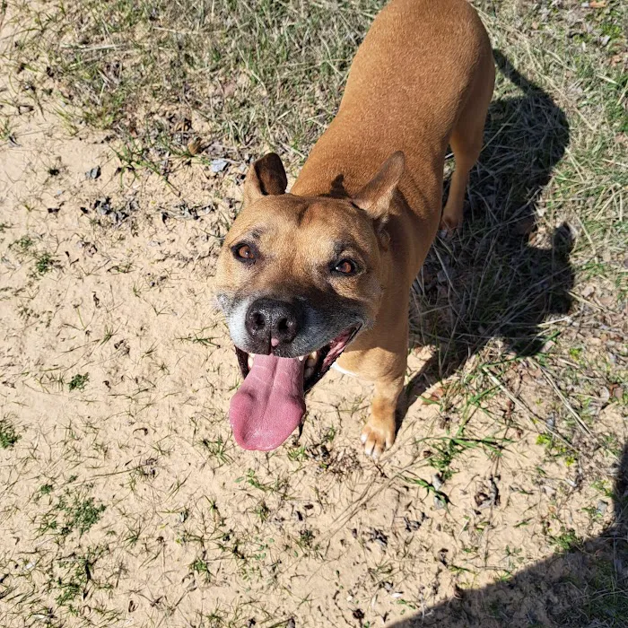 Glover Veterinarian Services Picture 3