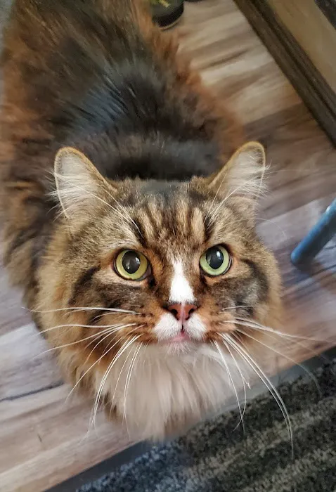 Glover Veterinarian Services Picture 4