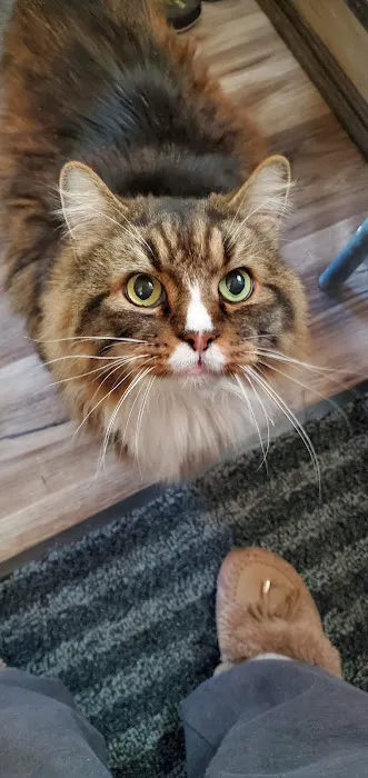 Glover Veterinarian Services Picture 8