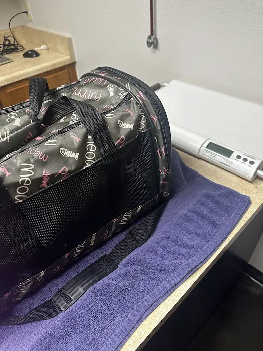 Feline Specialties Picture 8