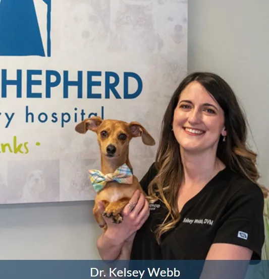 Good Shepherd Veterinary Hospital - Jenks Picture 2