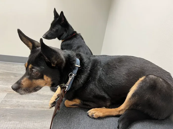 Good Shepherd Veterinary Hospital - Jenks Picture 9