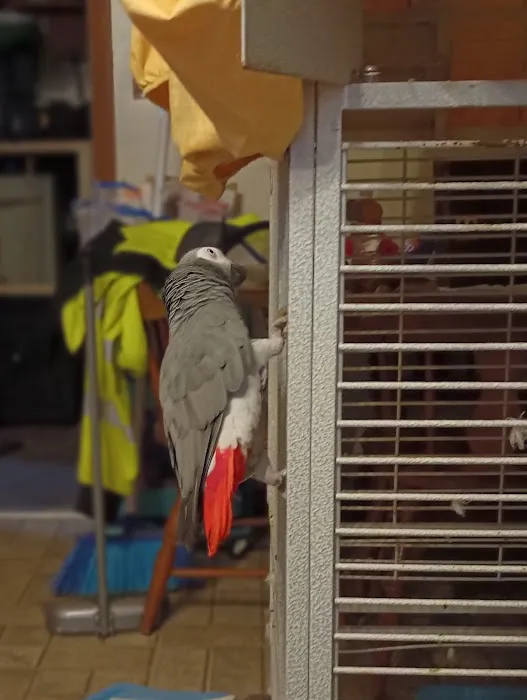 Danner Veterinary Hospital Picture 4