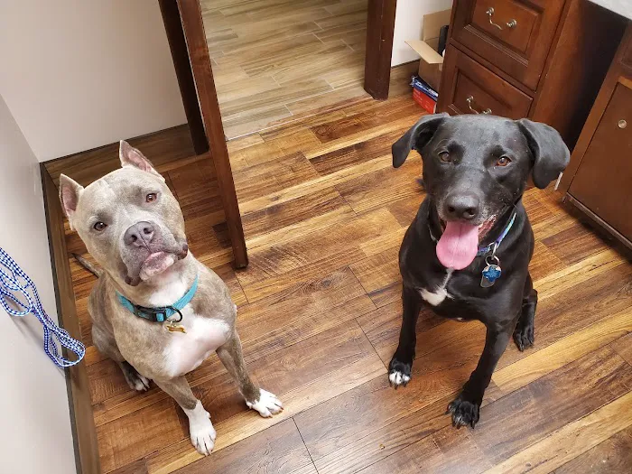 Danner Veterinary Hospital Picture 10