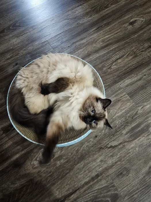 Jenks Veterinary Hospital Picture 1