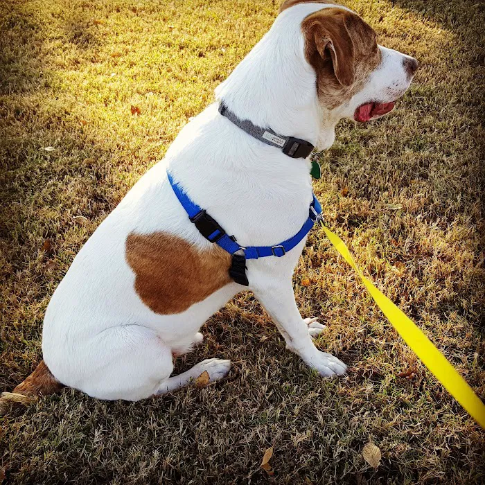 Jenks Veterinary Hospital Picture 6