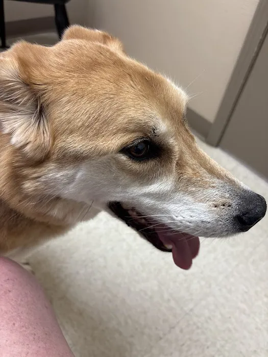 Jenks Veterinary Hospital Picture 2