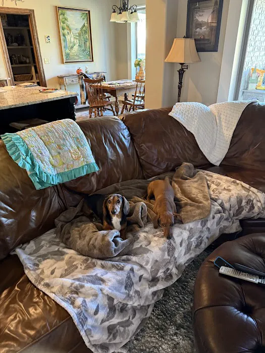 Jenks Veterinary Hospital Picture 4