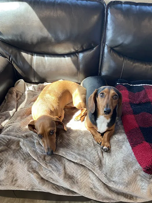 Jenks Veterinary Hospital Picture 3