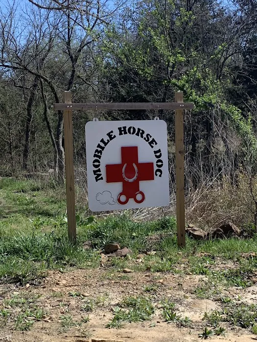 Mobile Horse Doc: Erica Wallace, DVM Picture 3